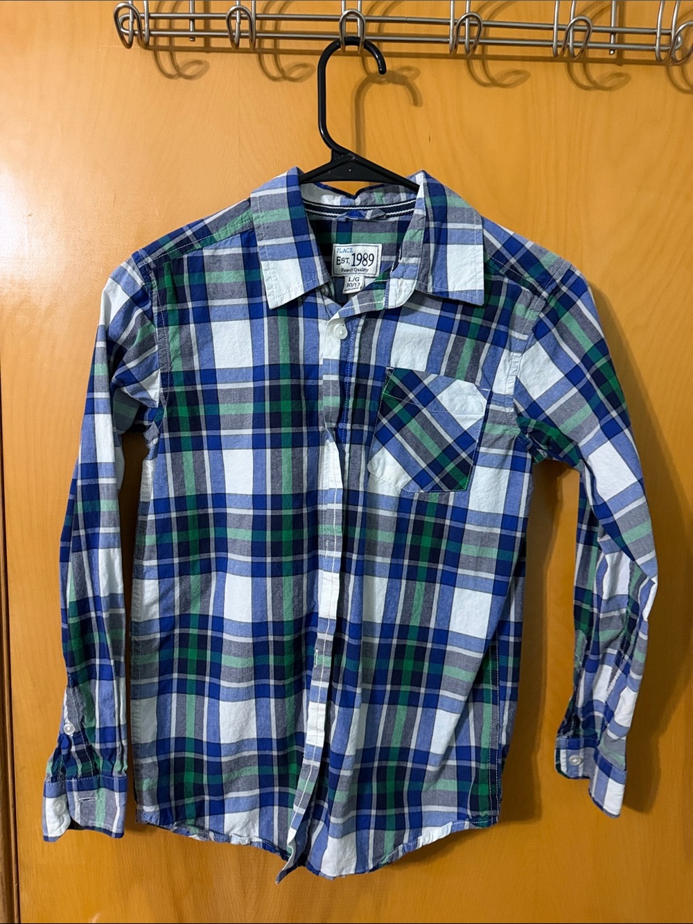 The Children's Place Blue & Green Plaid Button-Down Shirt